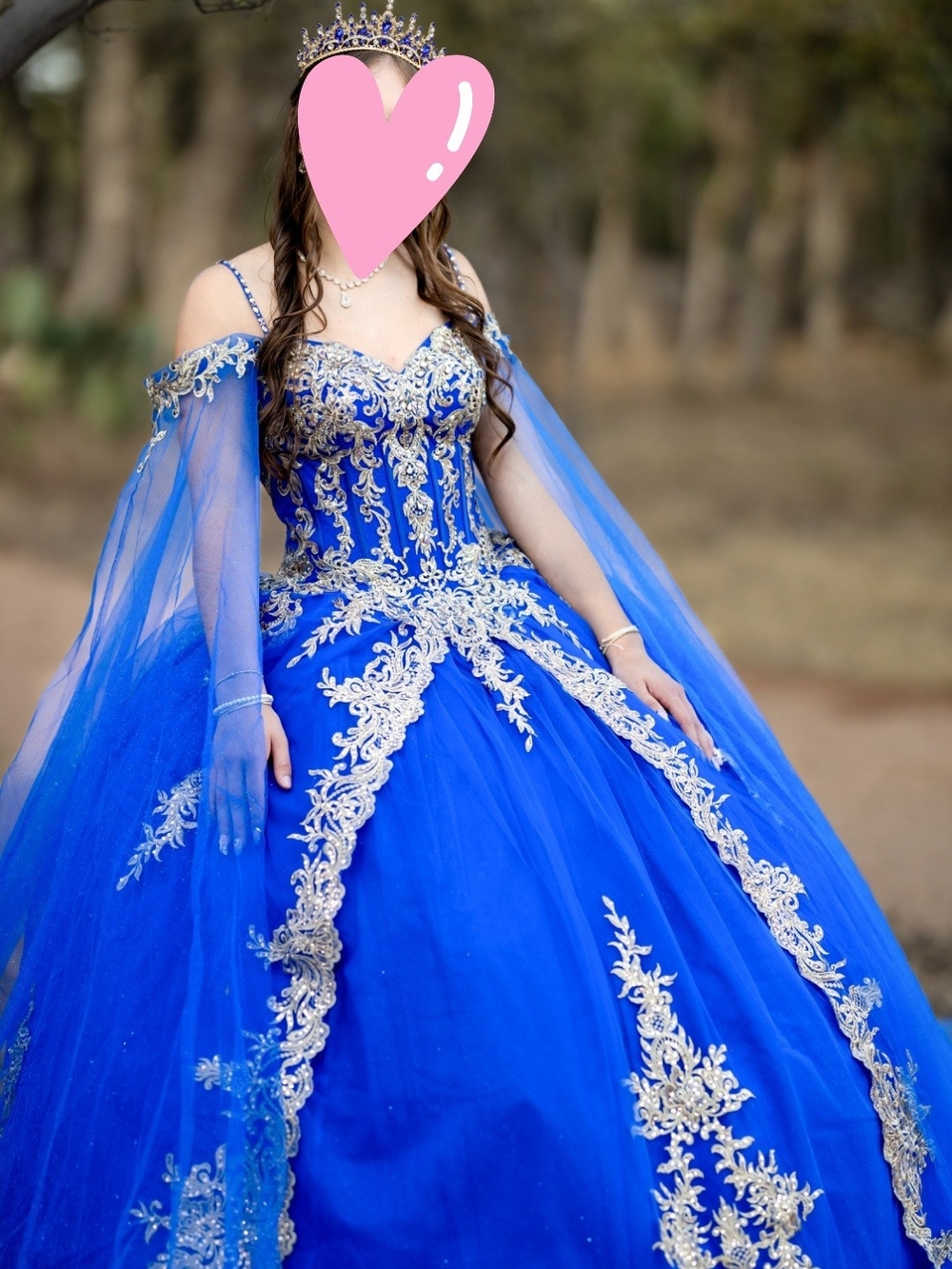 Quiecenere Royal Blue Ball Gown with Silver Embroidery